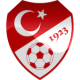 Turkey football shirt