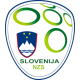 Slovenia football shirt