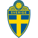 Sweden football kit kids