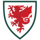 Wales football shirt